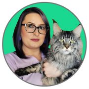 echipa-mycats-sunquestvet-veterinar-constanta-nico echipa-mycats-sunquestvet-veterinar-constanta-nico