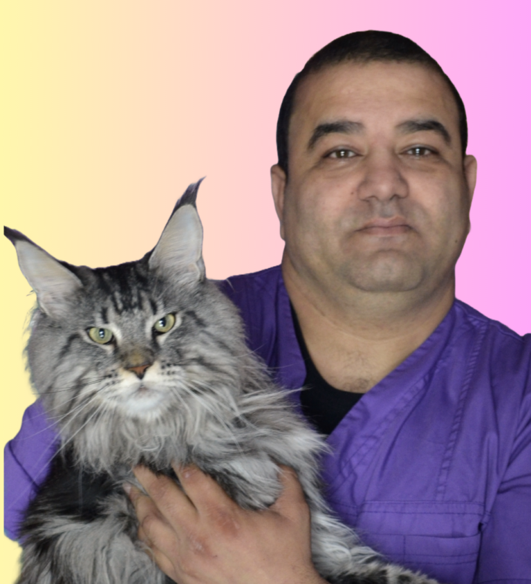 oprea-teodor-catalin-mycats-sunquestvet-veterinar-constanta